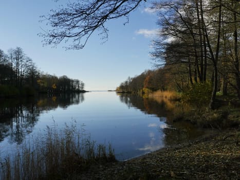 river evening, autumn beautiful landscape, trees are reflected in the water