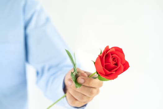 Close up photo of Man holding red roses in hand on white background