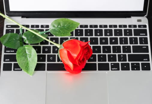 Red rose and the laptop on deck, Valentine concept