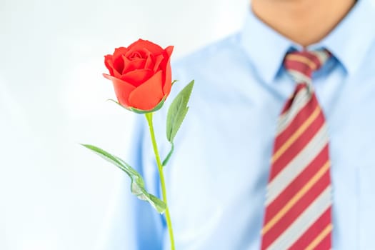 Close up photo of Man holding red roses in hand on white background