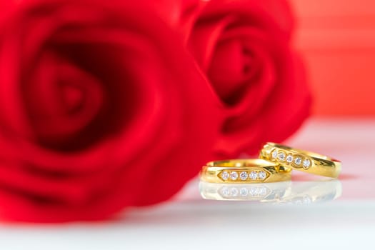 Red plastic fake roses on white background, Wedding concept with roses and gold rings