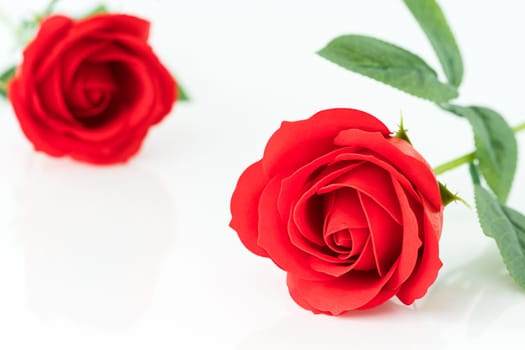Single Red plastic fake roses on white background for Valentine's Day