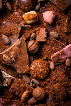 Variation of chocolate and chocolate candy with cocoa and cocoa beans as background