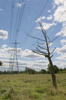 Vertical image of a Dead tree under electrical power transmission and distribution lines, with pylons in the background and distance. Rural Scene.