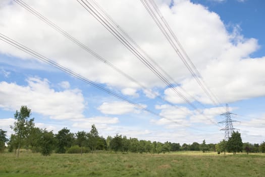 Bright cloudy white and blue sky behind over head power lines and a distant metal electricity pylon. Open natural condition field and trees surround.