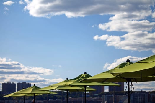 A series of green umbrellas in a summer day