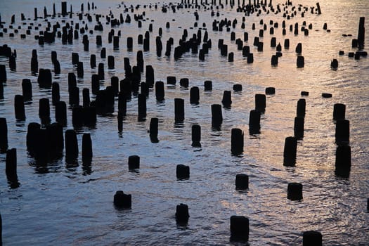 The sunset among the stakes in the river