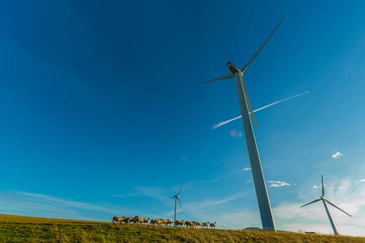 windmill  - windmill farm