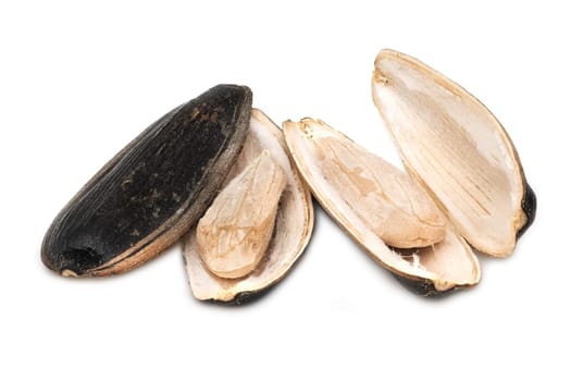 Sunflower Seed, close up and studio shot of seed on white background