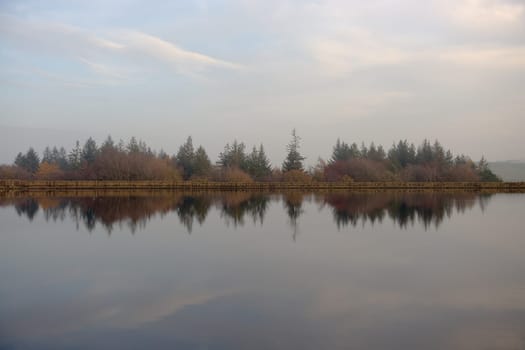 Warm orange autumnal tree tops at dusk, emerging over the dam wall of the middle dam at redmires reservoirs. Three distant people sit on the wall