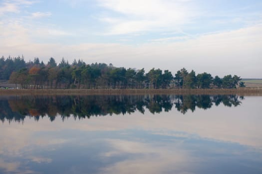 Autumn season coniferous forest reflected over still water of redmires reservoirs. Wispy cloudscape and gentle evening colors also reflected.