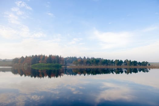 Bold mirrored landscape image of an autumnal forest. Trees form a line on the horizon, which is then reflected in the still water of a reservoir