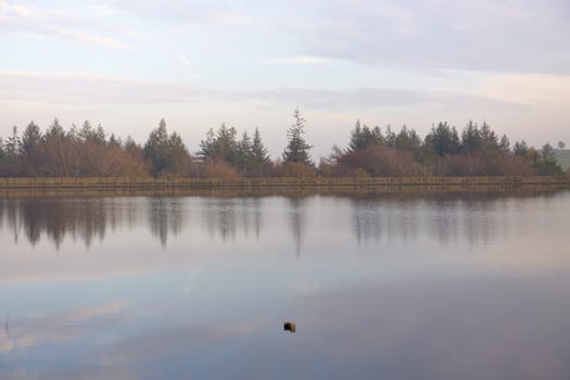 Shimmery reflection of autumn tree tops from behind a dam wall. Partially submerged metal post sticks out in the middle of the reservoir. autumn time
