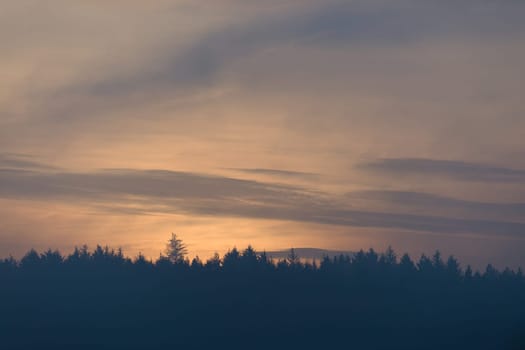 Sky cloudscape at dusk, just after sunset, with plenty of copy space for text. Line of silhouetted coniferous treetops fills the bottom of the frame
