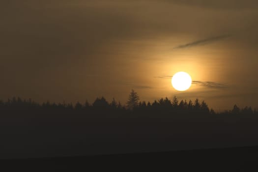 Horizontal landscape of a line of coniferous trees on the horizon. The bright golden setting sun glows through wispy clouds and the hazy atmosphere.