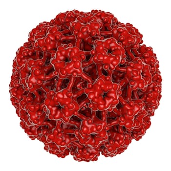 Virus