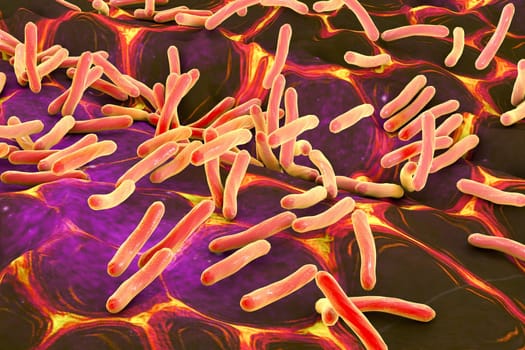 Rod-shaped bacteria. 3D illustration