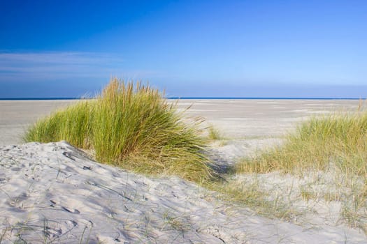 the dunes, Renesse, Zeeland, the Netherlands