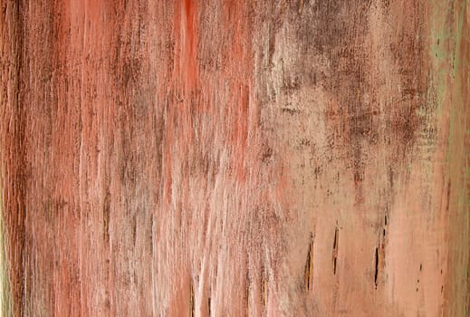 painted wood - abstract colorful background