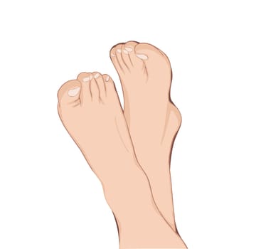 Beautiful with white woman's legs, isolated on soft white background. Hygiene concept. Hygiene of the feet. pedicure.