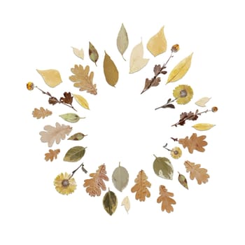 round frame or wreath made of realistic autumn leaves. Autumn leaf fall.