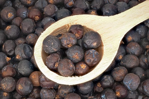 Juniper Berries, close up and studio shot of dried berries