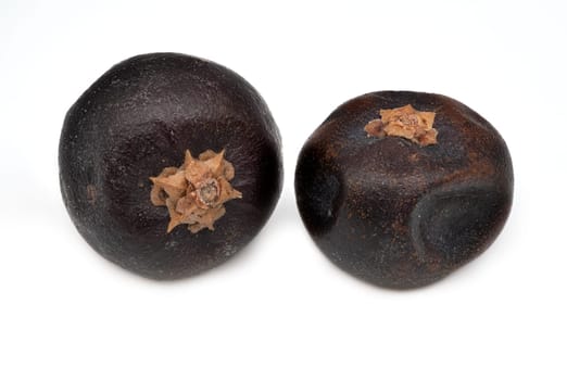 Juniper Berries, close up and studio shot of dried berries