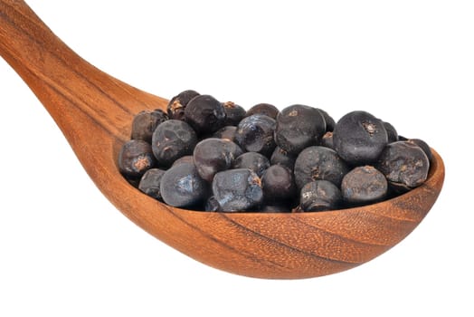 Juniper Berries, close up and studio shot of dried berries