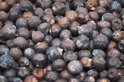 Juniper Berries, close up and studio shot of dried berries