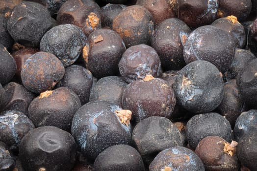Juniper Berries, close up and studio shot of dried berries