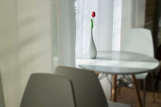 Flower vase with bright light from the window, stock photo