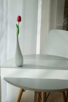 Flower vase with bright light from the window, stock photo