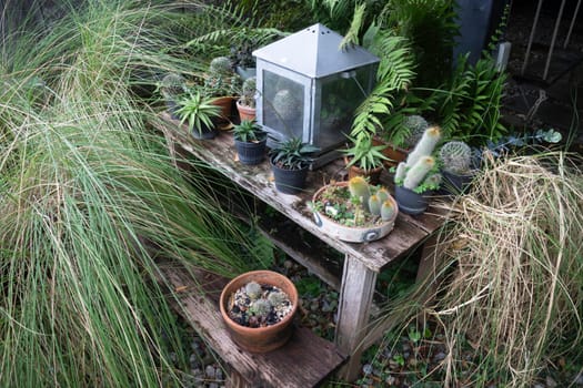 Green plant pots in the garden, stock photo
