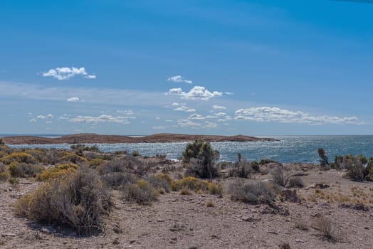 Landscape on the Patagonian Atlantic coast in Argentina