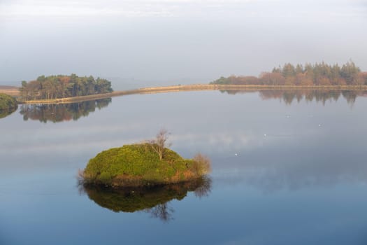 Small overgrown island is surrounded by calm water that reflects the winter sky like a mirror. Only disturbed by the white birds swimming on it.