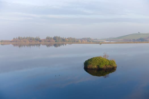 Winter sunlight shines on a small island full of foliage, which floats in the middle of still redmires reservoirs water. Autumn fall season.