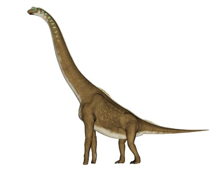 Giraffatitan dinosaur walking isolated in white background - 3D render