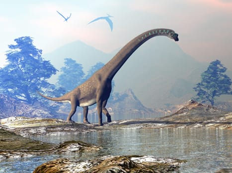 Giraffatitan dinosaur walking in a landscape by sunset - 3D render