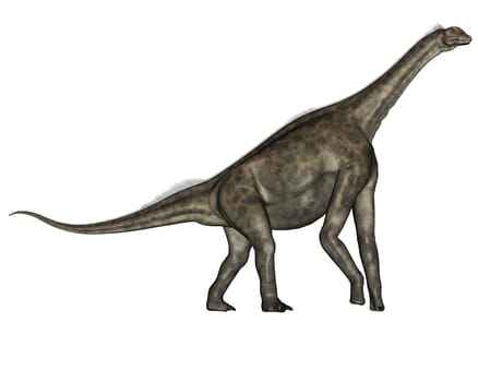 Atlasaurus dinosaurs walking isolated in white background - 3D render