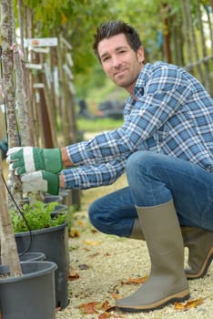 Portrait of gardener tending trees