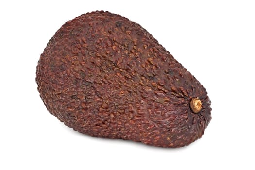 Avocado Fruit Close Up, studio shot of tropical fruit on white background