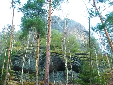 The rocks at national park Saxon Switzerland