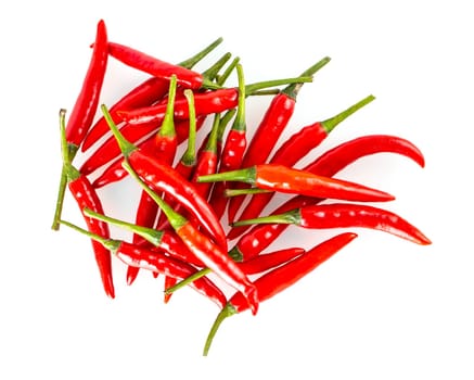 The chili pepper isolated on a white background