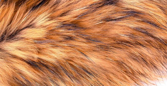The Polar Fox fur as texture or background