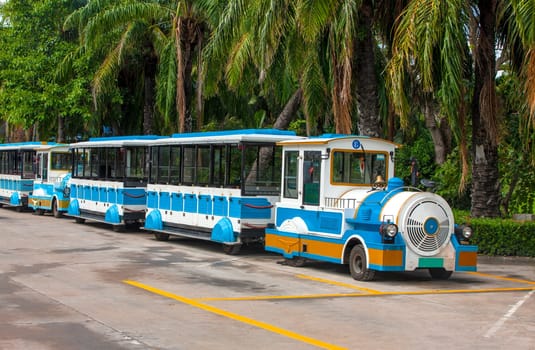 The Excursion train in the Park for tourists under the palms