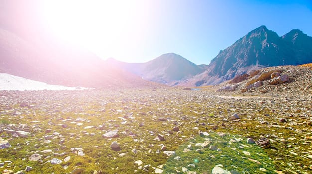 the stones on the grass on a volcano