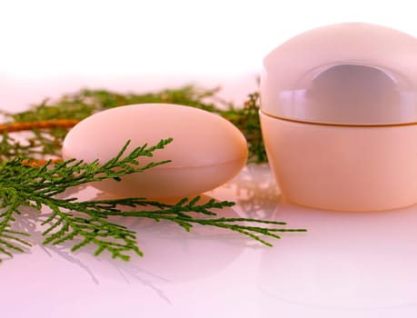 bar of soap, a jar of cosmetic cream and a green branch
