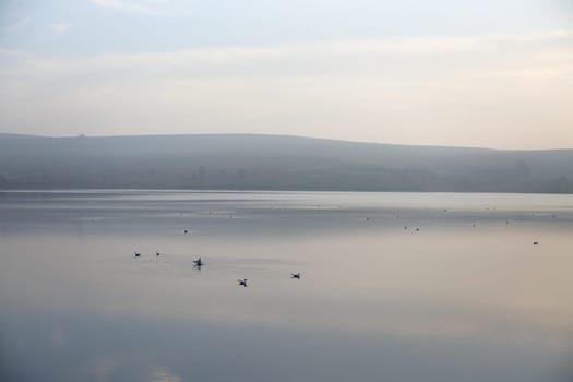 Haze gives this water landscape at dusk a good background texture. Many birds settle down on the water for the night. Remote countryside scene.