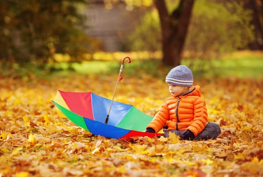 Child sitting in park in beautiful autumnal day. Boy playing outdoors yellow maple leaves falling down