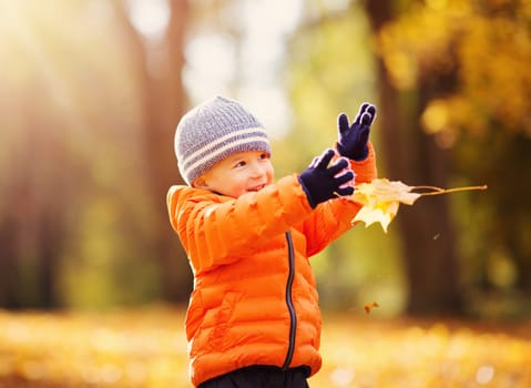 Child standing in park in beautiful autumnal day. Boy playing outdoors yellow maple leaves falling down